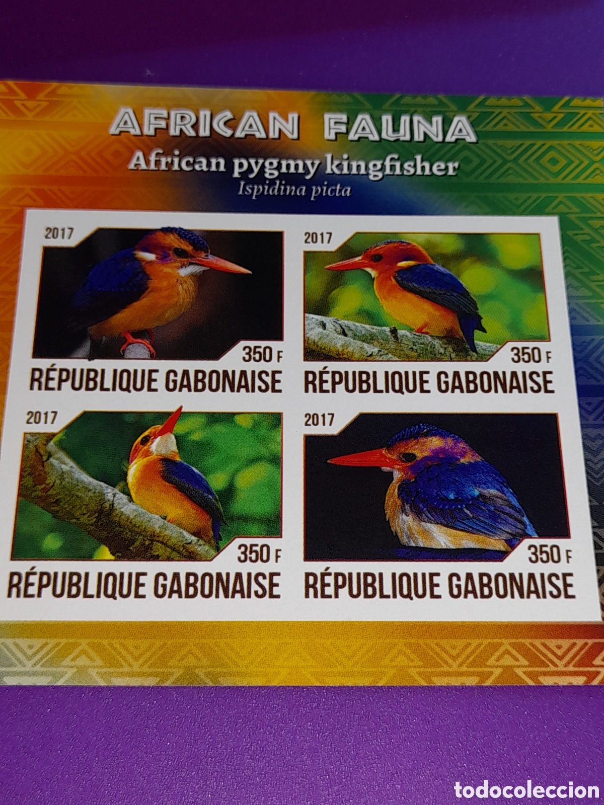 Sellos: HB Gabon nuevo/sd 2017. Mart&iacute;n pescador pigneo africano. Aves. Pajaros. Fauna. Animales.