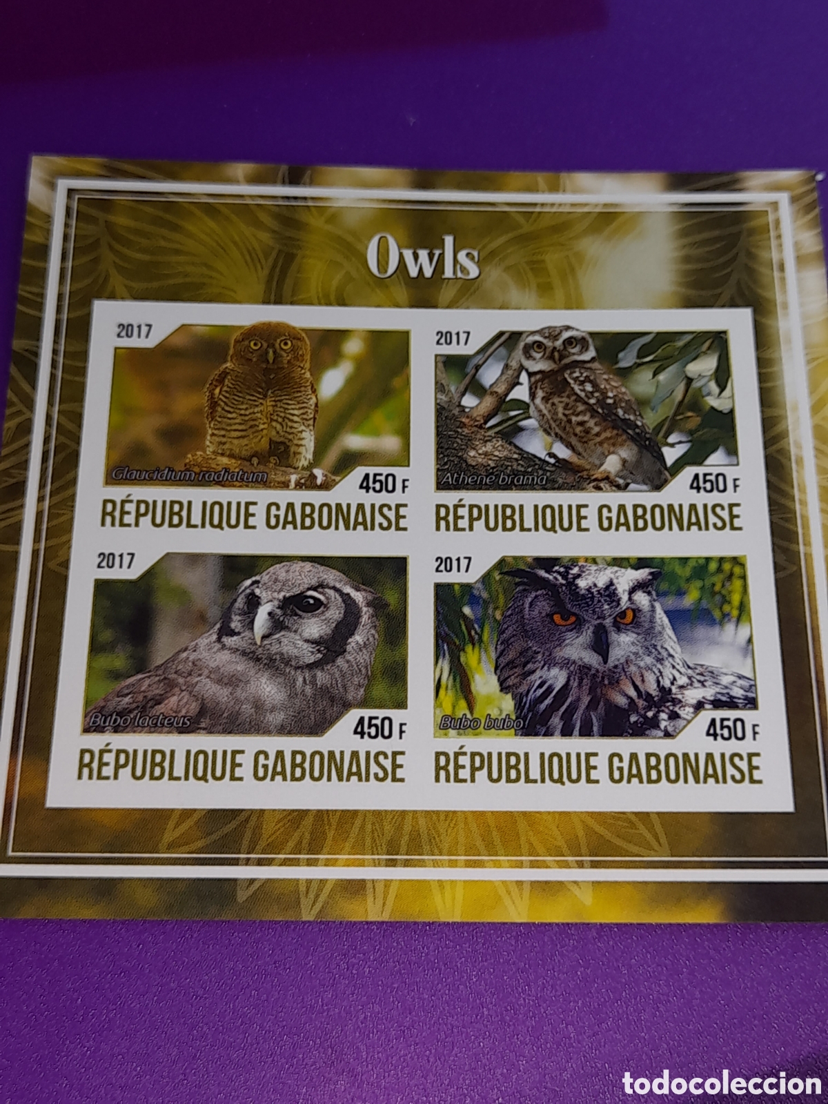Sellos: HB Gabon nuevo/sd 2017. Mochuelo. Aves. Fauna. Lechuza. B&uacute;ho. P&aacute;jaros.