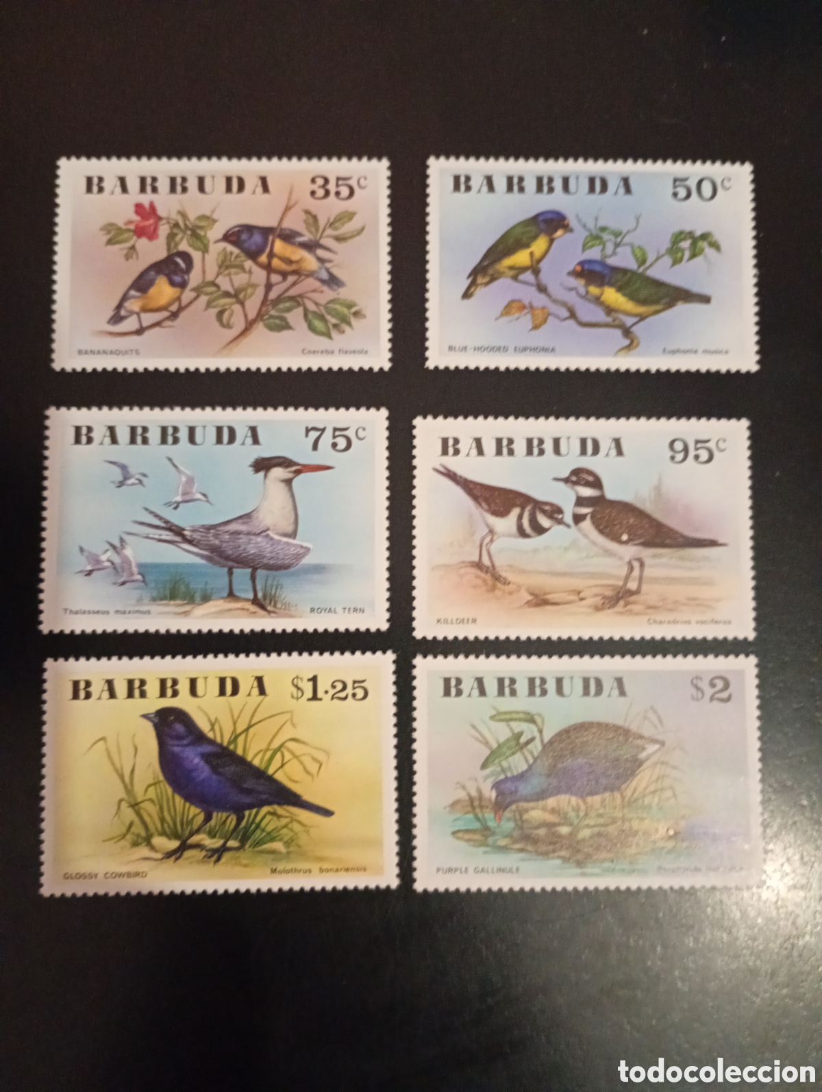 Sellos: Barbuda aves MNH (1976)