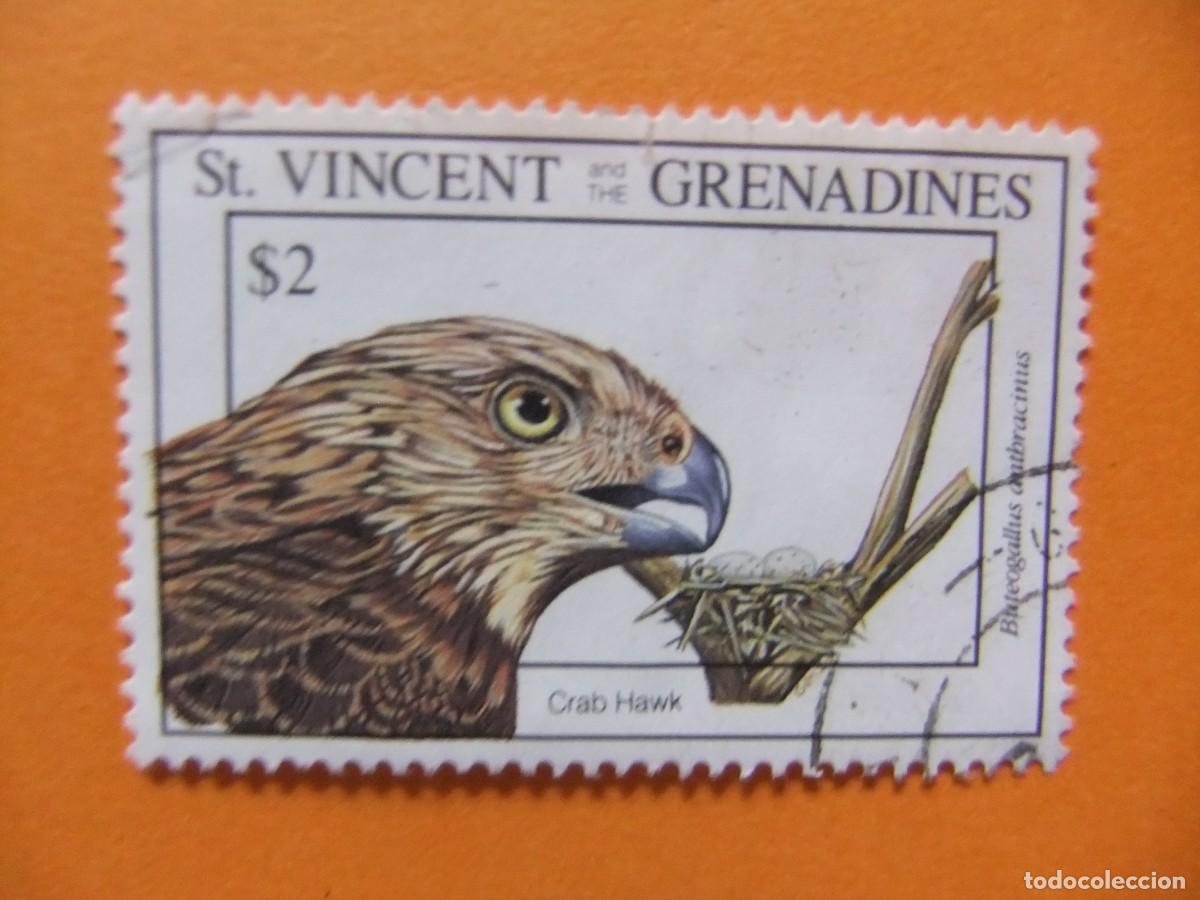 Sellos: 52 ST. VINCENT GRENADINES 1993 / FAUNA PAJAROS - BUTEOGALLUS / YVERT 1765 FU