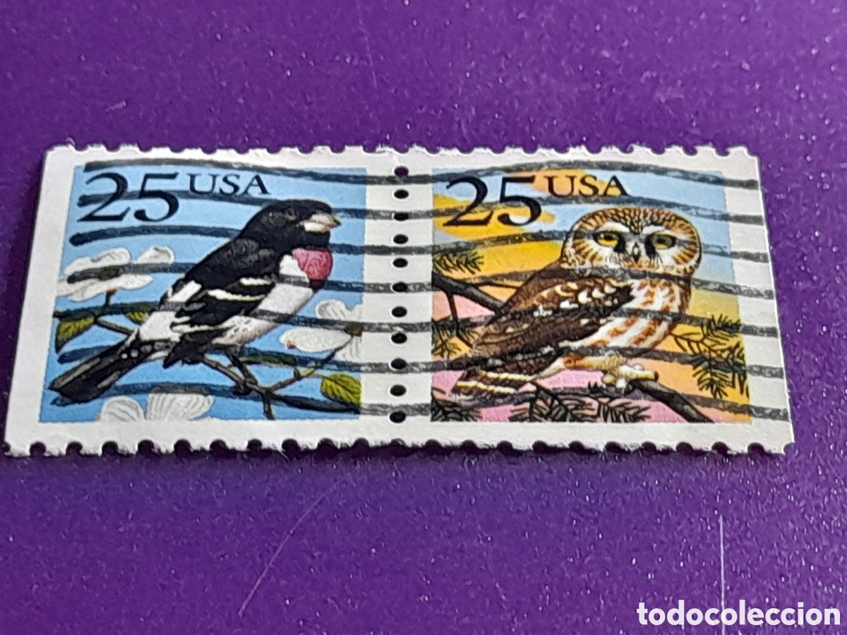 Sellos: Sello Estados Unidos mtdo/udo 1988. P&aacute;jaros. Aves. Mochuelo. B&uacute;ho. Lechuza. Gorri&oacute;n.