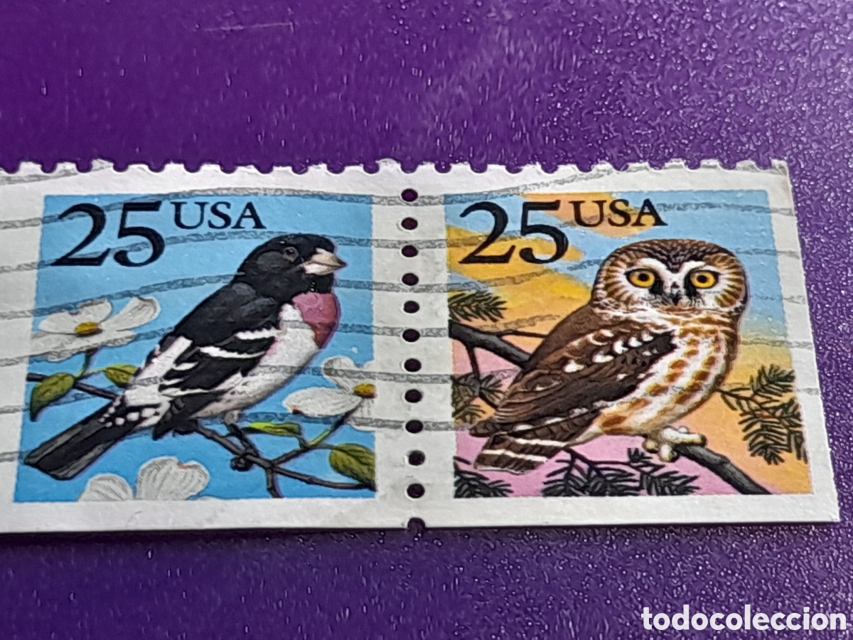 Sellos: Sello Estados Unidos mtdo/udo 1988. P&aacute;jaros. Aves. Mochuelo. B&uacute;ho. Lechuza. Gorri&oacute;n.