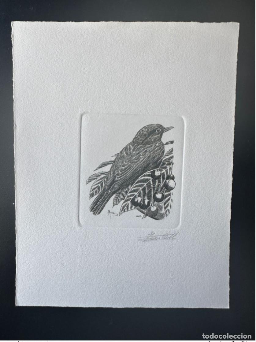 Briefmarken: B&eacute;lgica 1992 COB 2458 Prueba de artista FDC Bird Vogel Andr&eacute; Buzin Blackbird