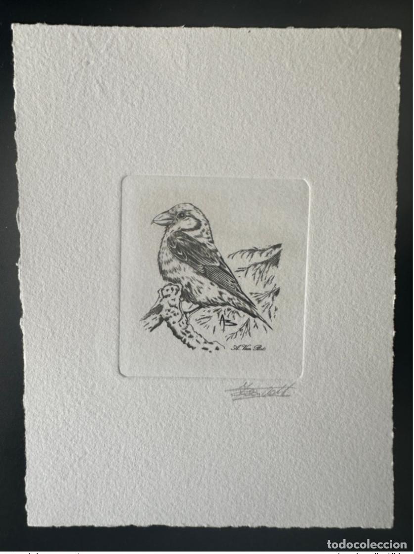 Sellos: B&eacute;lgica 2000 COB 2918 Prueba art&iacute;stica de los abetos FDC Bird Andr&eacute; Buzin Crossbill
