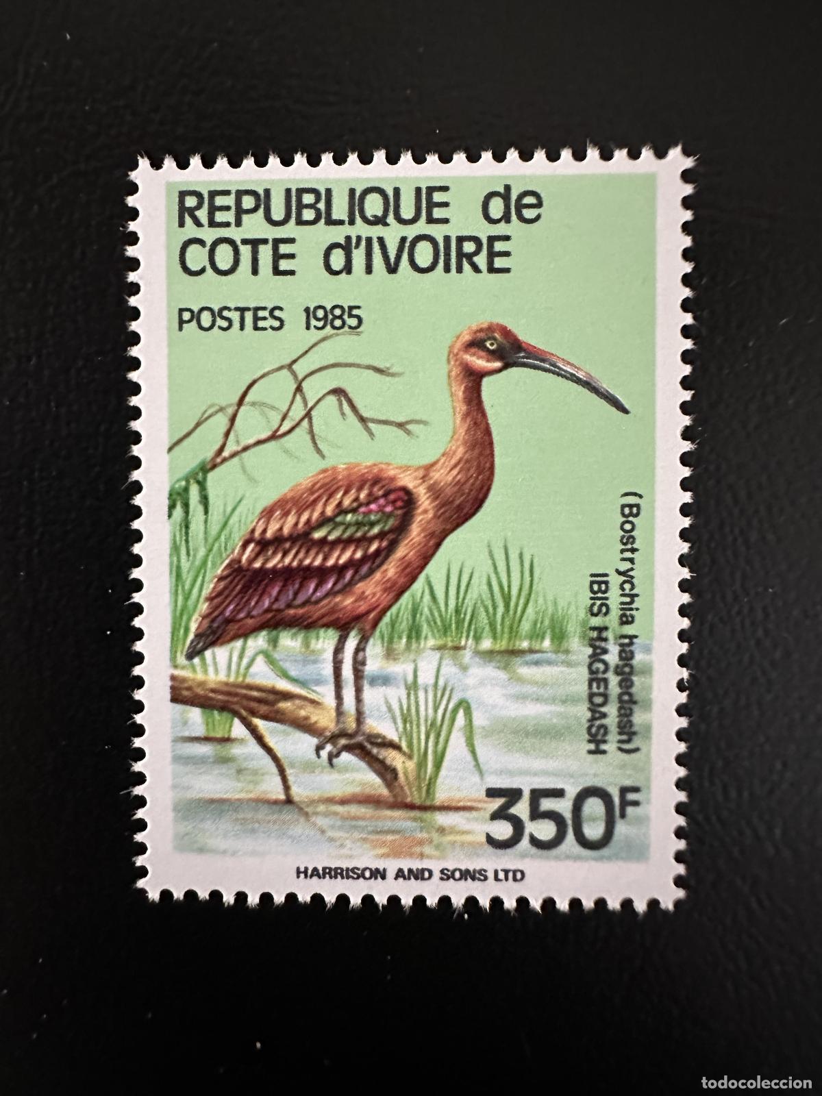 Sellos: Costa de Marfil 1985 Mi. C 848 P&aacute;jaros V&ouml;gel Ibis Hagedash MNH