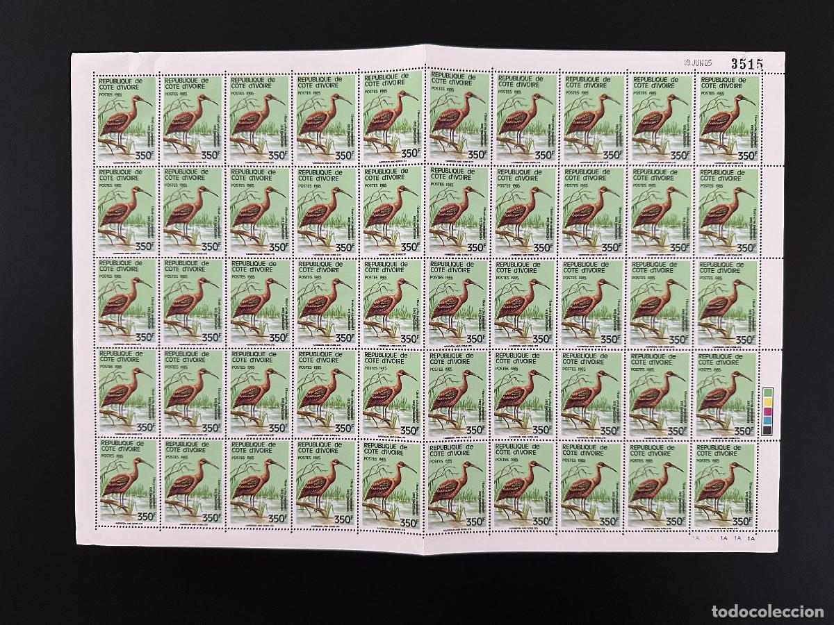 Sellos: Costa de Marfil 1985 Mi. L&aacute;mina cart&oacute;n C 848 Birds V&ouml;gel Ibis