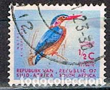Sellos: Sudafrica n&ordm; 248, bub&uacute; pechirrojo, usado