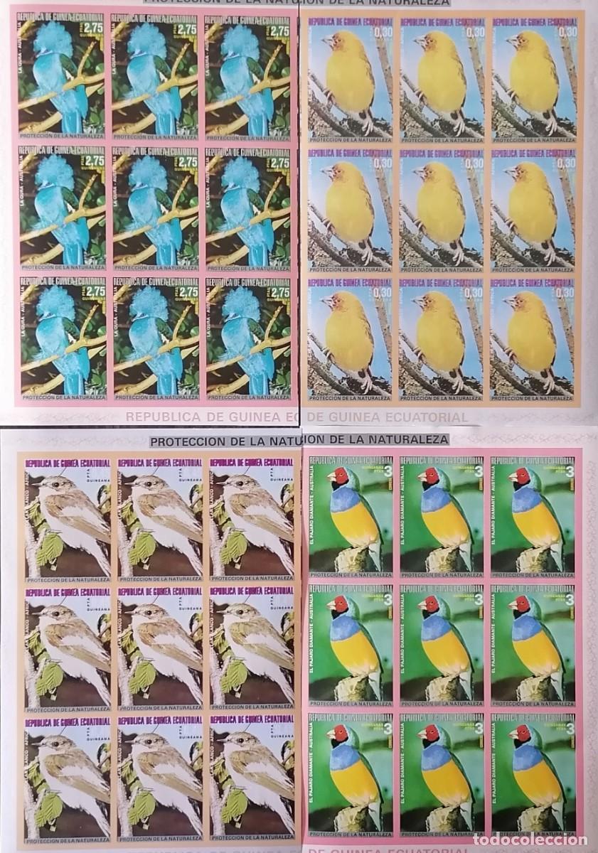 Sellos: GUINEA ECUATORIAL - AVES .