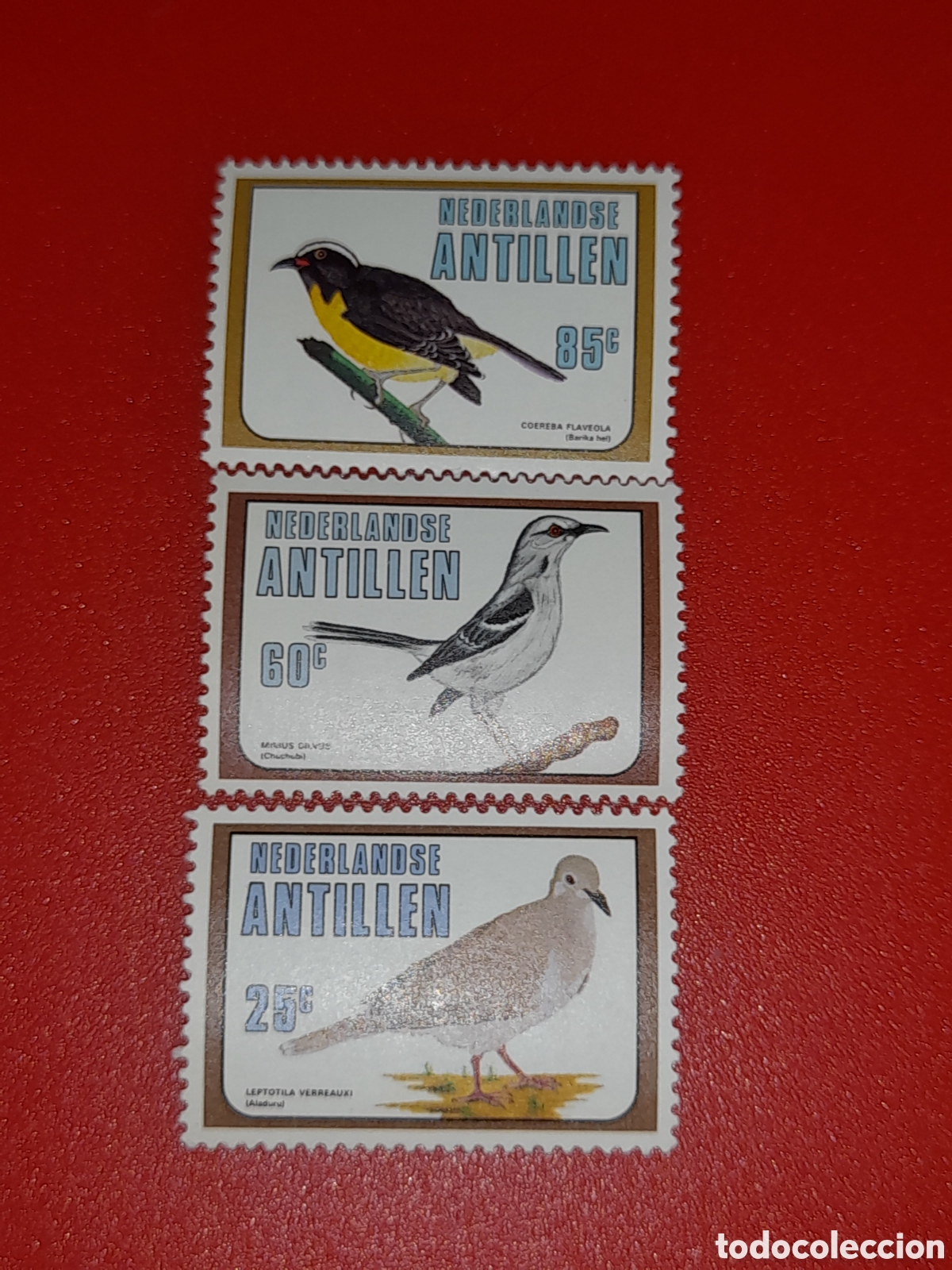 Sellos: Sello Antillas Holandesas nuevo 1980. P&aacute;jaros. Fauna. Aves. Paloma Blanca.