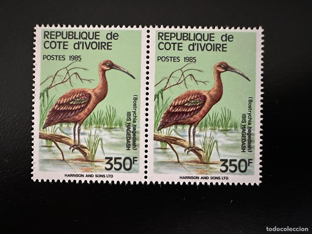 Sellos: Costa de Marfil 1985 Mi. C 848 par P&aacute;jaros V&ouml;gel Ibis Hagedash