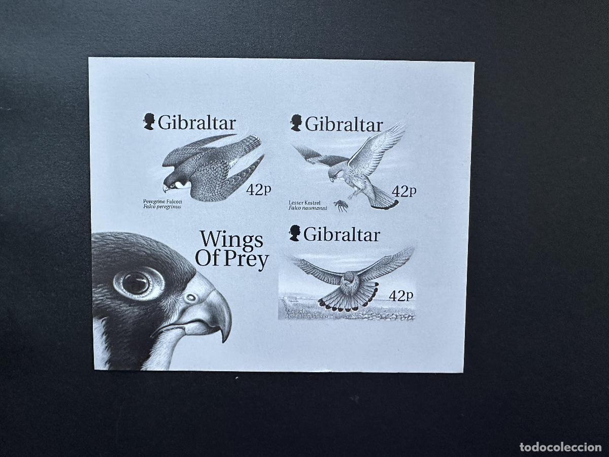 Sellos: Gibraltar 1999 Mi. Bl. 39 estampado en negro alas de imperf aves rapaces greifv&ouml;gel