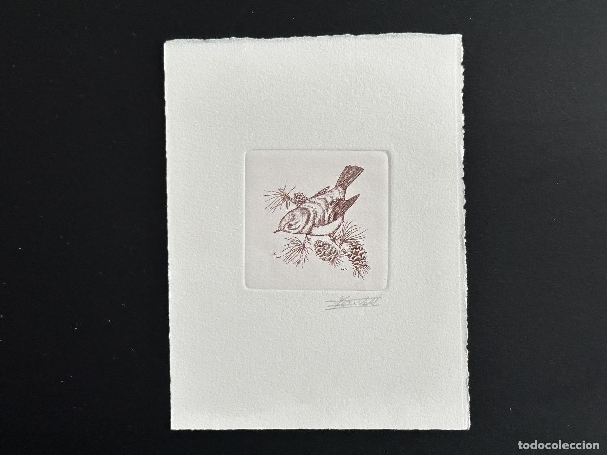 Sellos: B&eacute;lgica 1991 COB 2424 A prueba de artista FDC Bird Andr&eacute; Buzin Reyezuelo crestero rojo