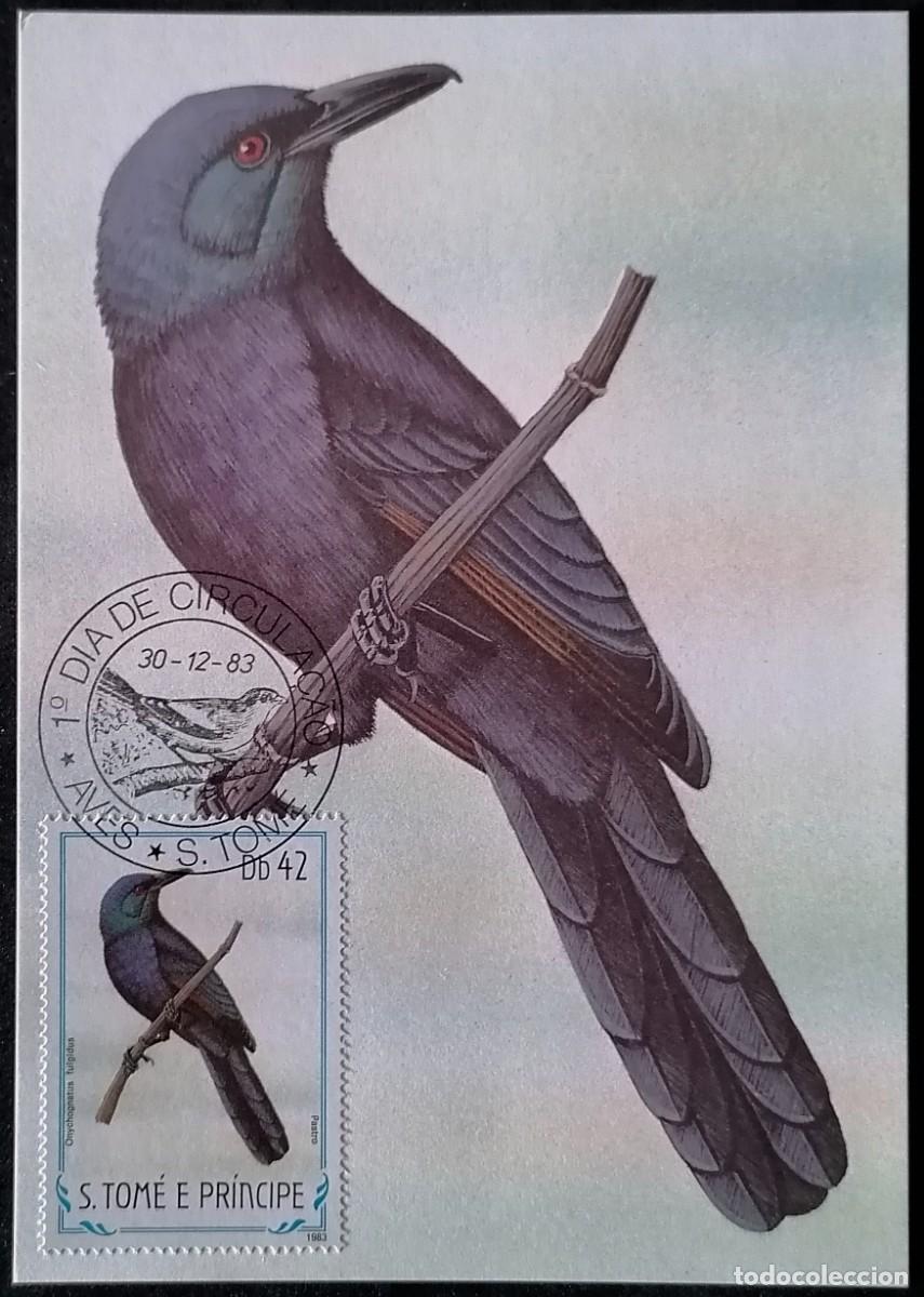 Sellos: SANTO TOM&Eacute; 1983 - TARJETA M&Aacute;X / ESTORNINO .