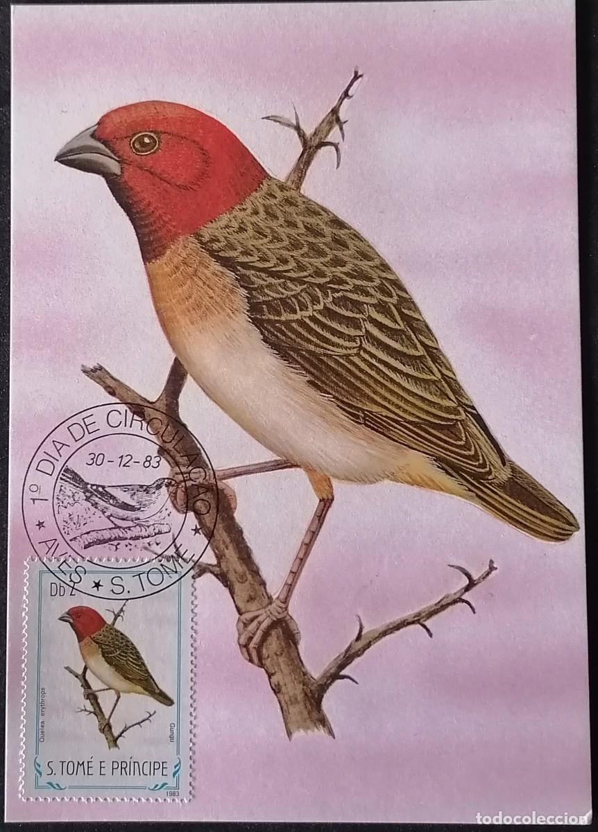Sellos: SANTO TOM&Eacute; 1983 - TARJETA M&Aacute;X / QUELEA ROJA .