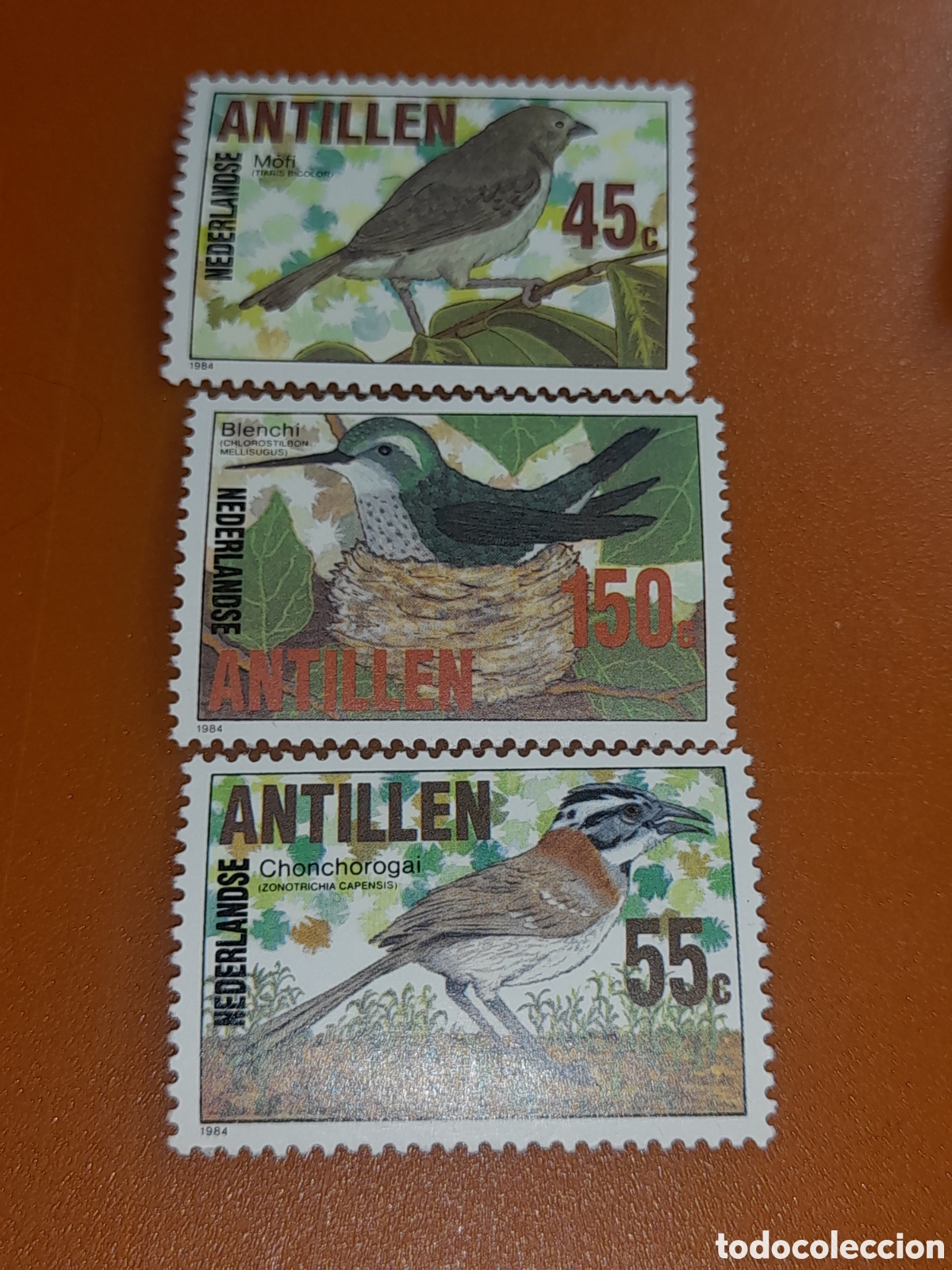 Sellos: Sello Antillas Holandesas mtdo 1984. P&aacute;jaros. Aves. Fauna. Mofi. Chinchorogai. Bienchi