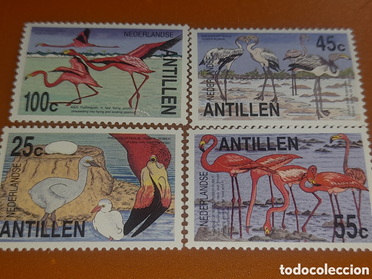 Sellos: Sello Antillas Holandesas mtdo 1985. Flamenco rojo. Aves. Pajaros. Fauna. Animales salvajes.
