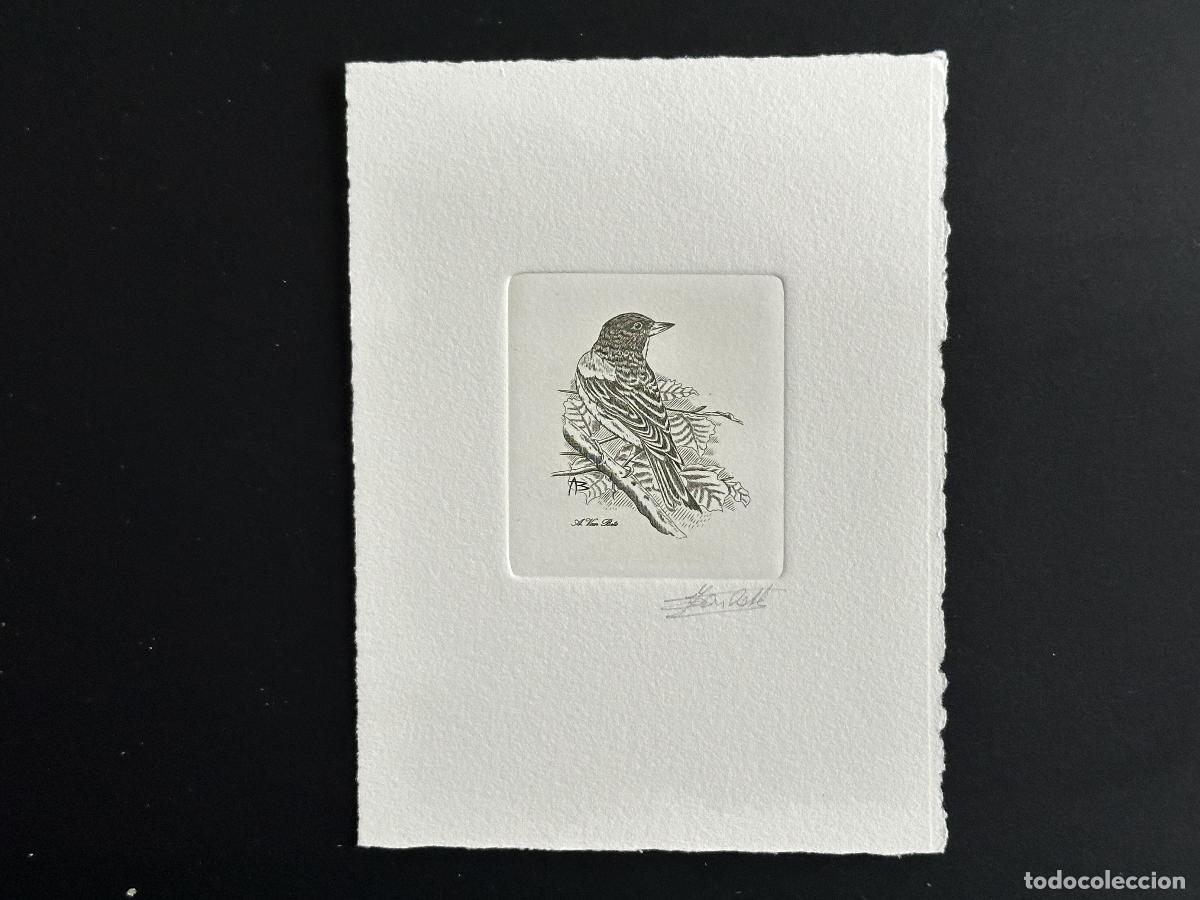 Sellos: B&eacute;lgica 2000 COB 2921 Prueba art&iacute;stica FDC Oiseau Andr&eacute; Buzin Pinson Nord