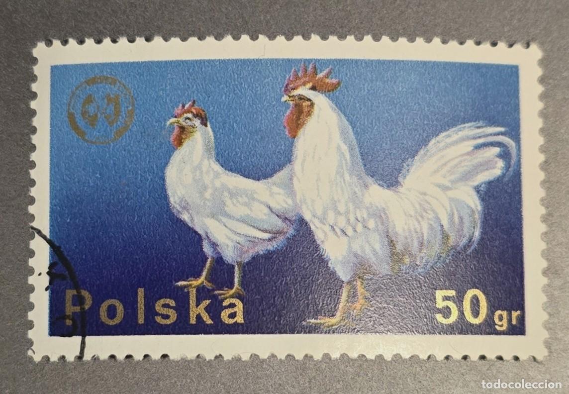 Sellos: SELLO POLONIA 1975 AVES GALLOS