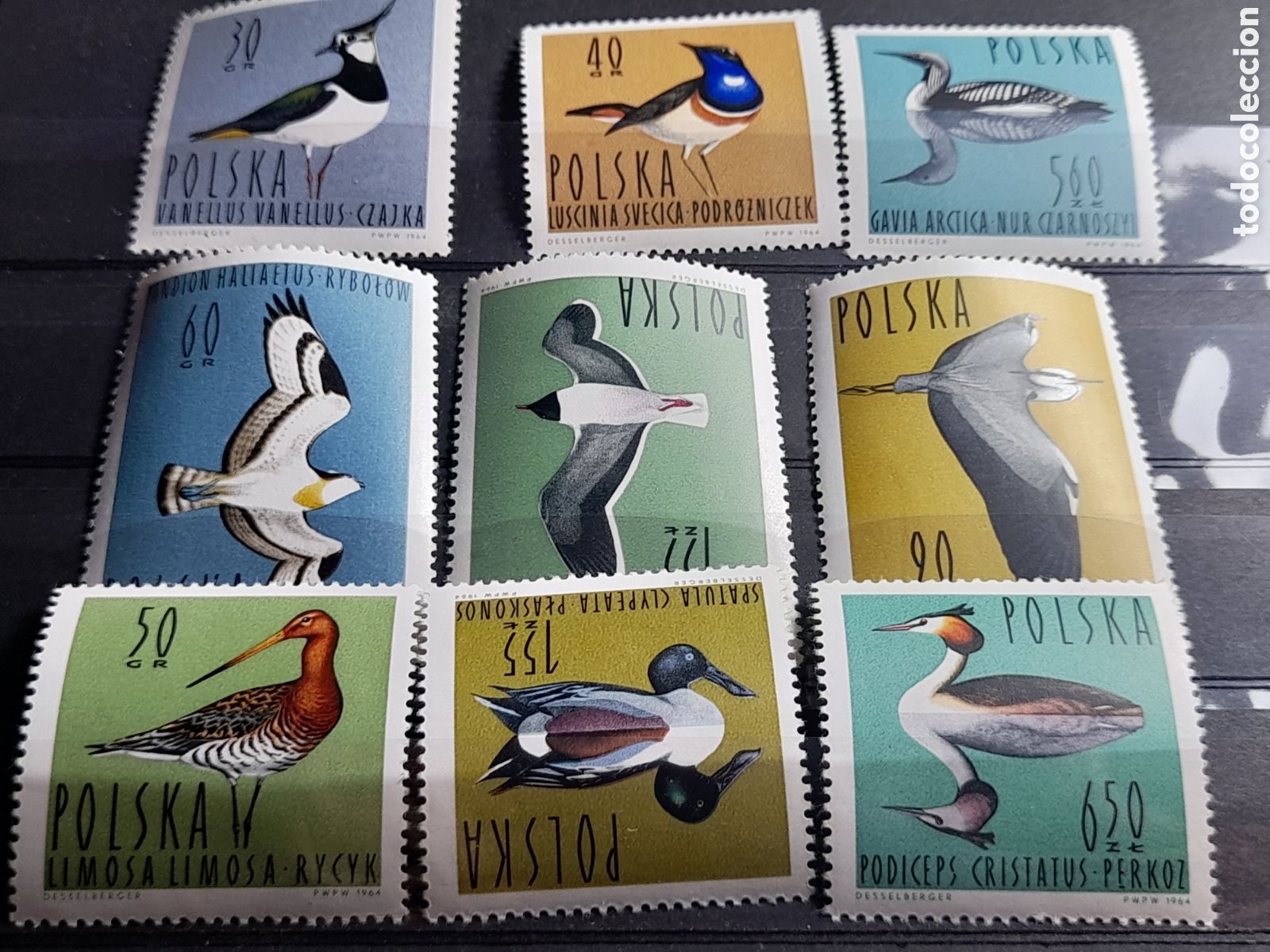 Sellos: Sello Polonia mtdo 1964. Aves. Acuaticas. Animales. Pato. Albatros. Cig&uuml;e&ntilde;a. Oca. Halc&oacute;n.