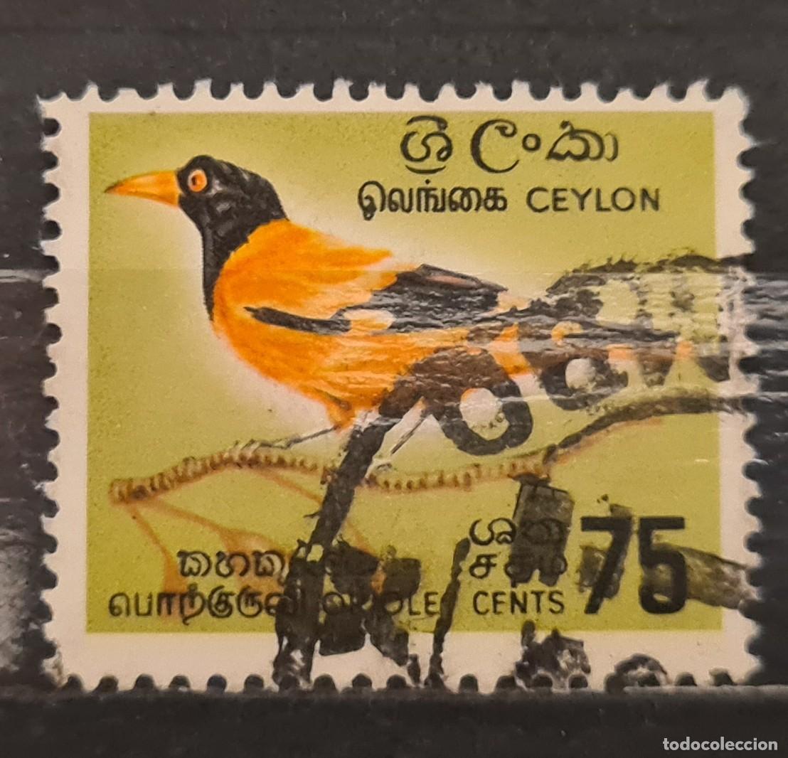 Sellos: Sello usado de Ceylan 1966: Oriolus xanthornus ceylonensis