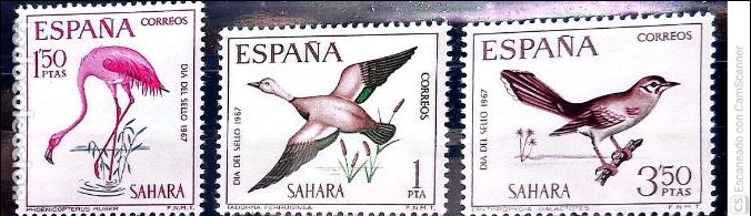 Sellos: Sahara. 262/64 Aves: Tarro, flamenco rosado y alzacola. 1967. Sellos nuevos y numeraci&oacute;n Yvert.