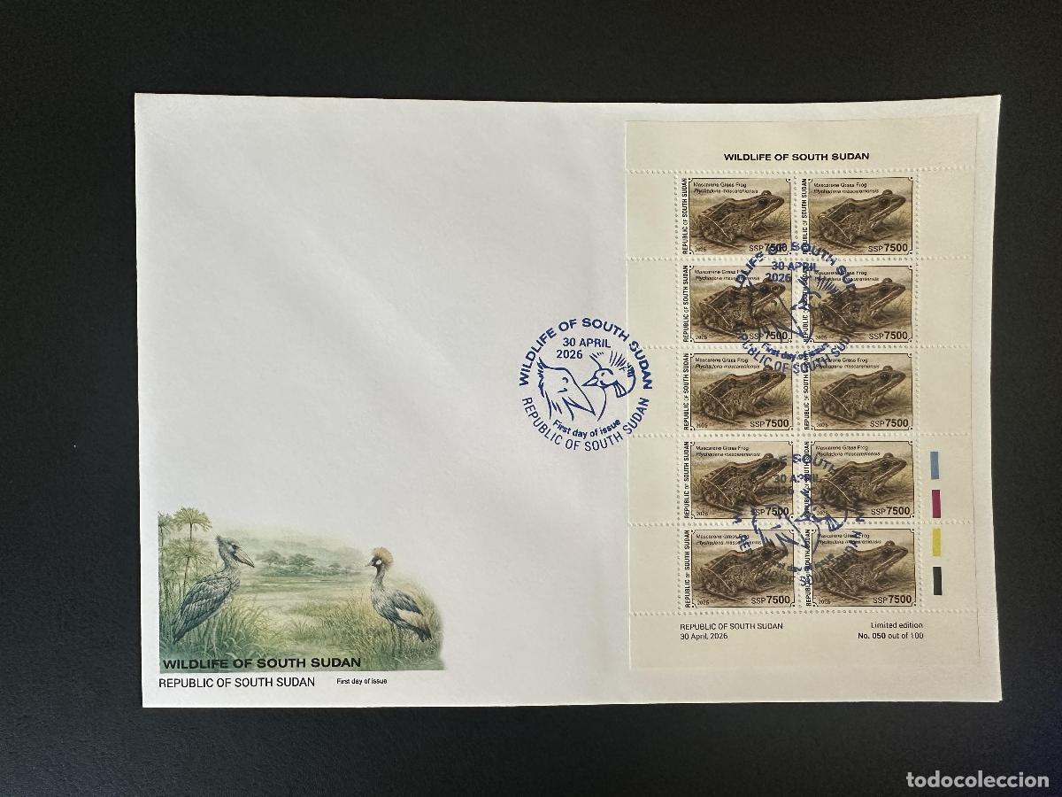 Sellos: Sud&aacute;n del Sur 2026 M/S FDC Rana Mascarena Ptychadena fauna silvestre