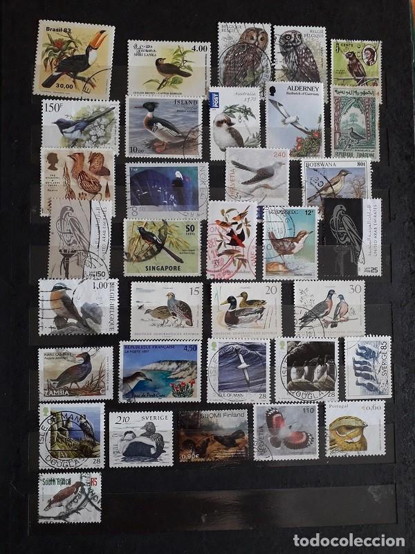 Sellos: PEQUE&Ntilde;A COLECCI&Oacute;N SELLOS USADOS MUNDIALES TEMA AVES/P&Aacute;JAROS TODOS DIFERENTES LOTE A