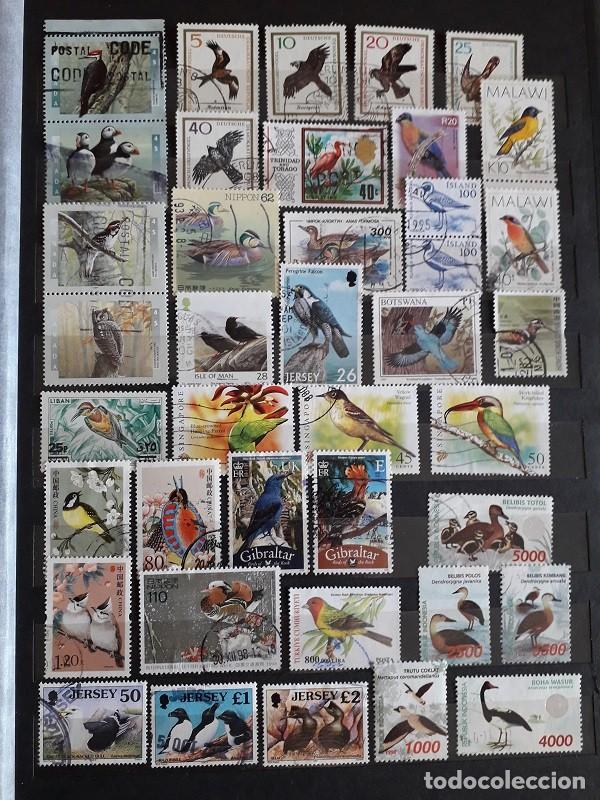 Sellos: PEQUE&Ntilde;A COLECCI&Oacute;N SELLOS USADOS MUNDIALES TEMA AVES/P&Aacute;JAROS TODOS DIFERENTES LOTE B