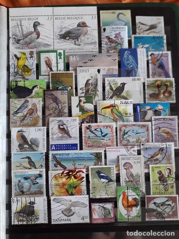 Sellos: PEQUE&Ntilde;A COLECCI&Oacute;N SELLOS USADOS MUNDIALES TEMA AVES/P&Aacute;JAROS TODOS DIFERENTES LOTE C
