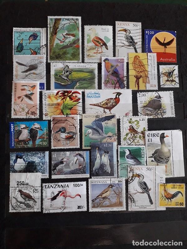 Sellos: PEQUE&Ntilde;A COLECCI&Oacute;N SELLOS USADOS MUNDIALES TEMA AVES/P&Aacute;JAROS TODOS DIFERENTES LOTE D