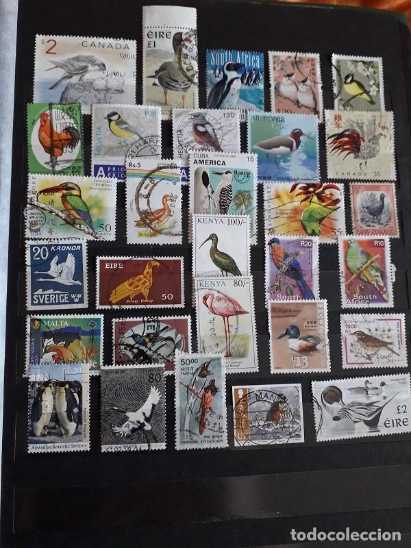 Sellos: PEQUE&Ntilde;A COLECCI&Oacute;N SELLOS USADOS MUNDIALES TEMA AVES/P&Aacute;JAROS TODOS DIFERENTES LOTE E