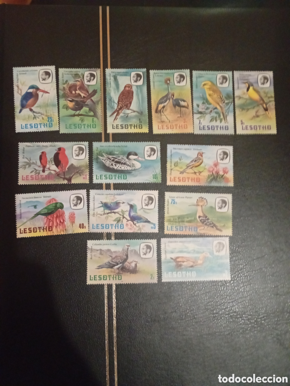 Sellos: Lesotho 1981 aves serie completa