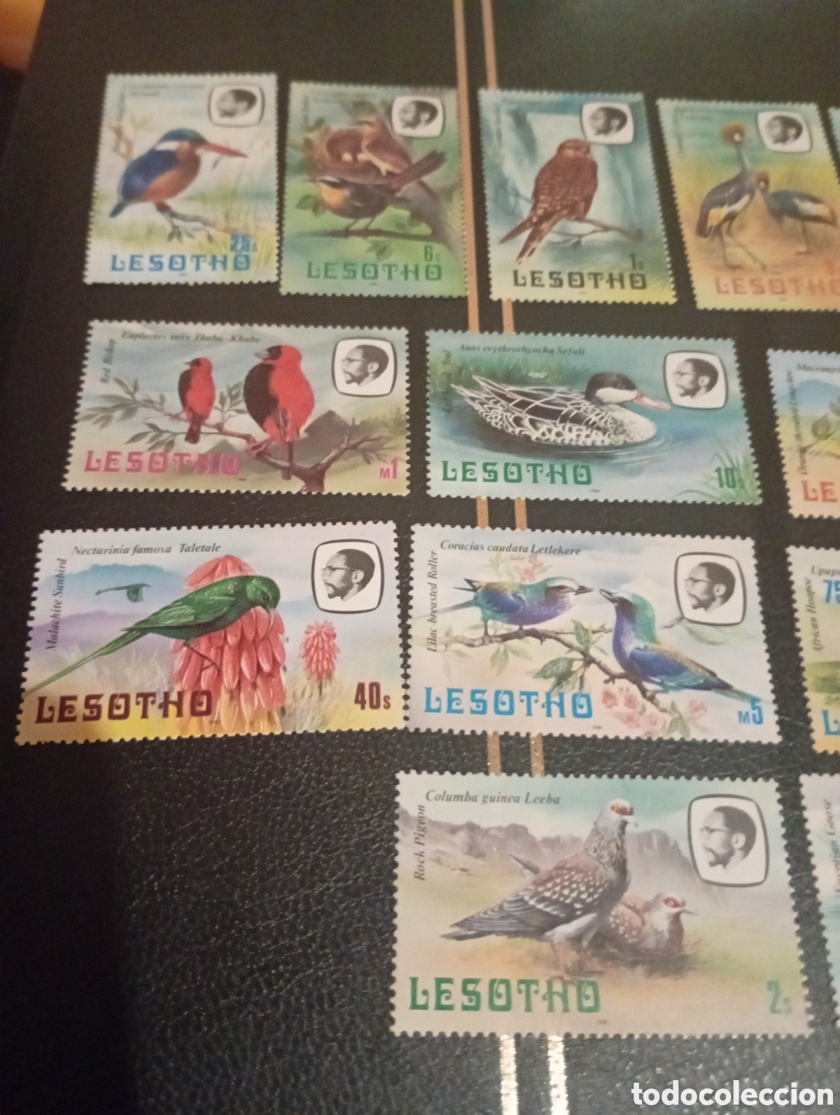 Sellos: Lesotho 1981 aves serie completa - Foto 2