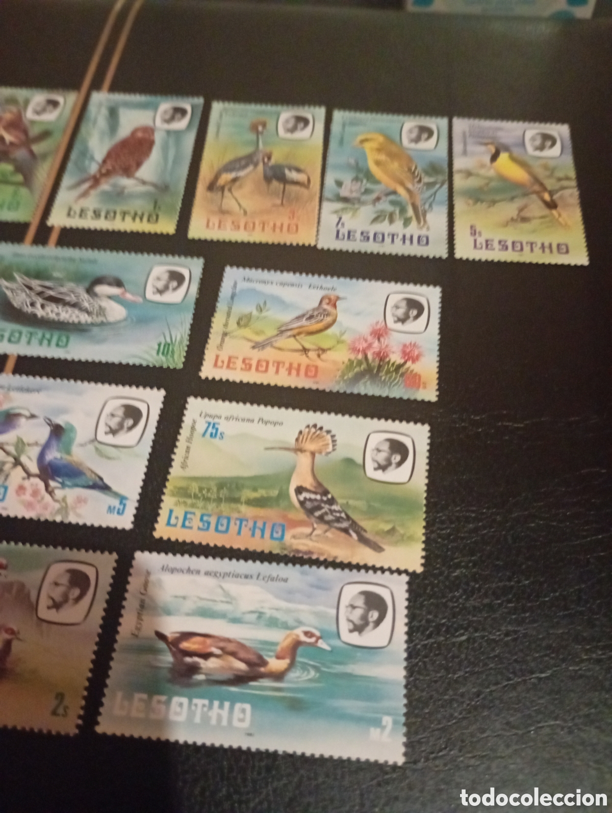 Sellos: Lesotho 1981 aves serie completa - Foto 3