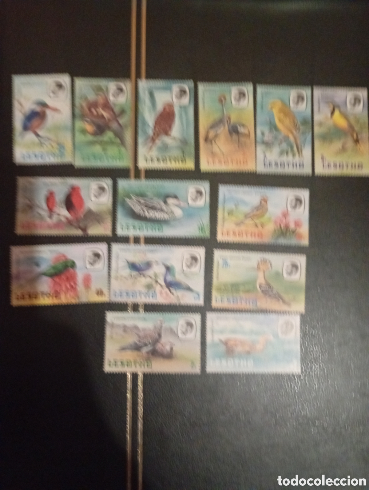 Sellos: Lesotho 1981 aves serie completa