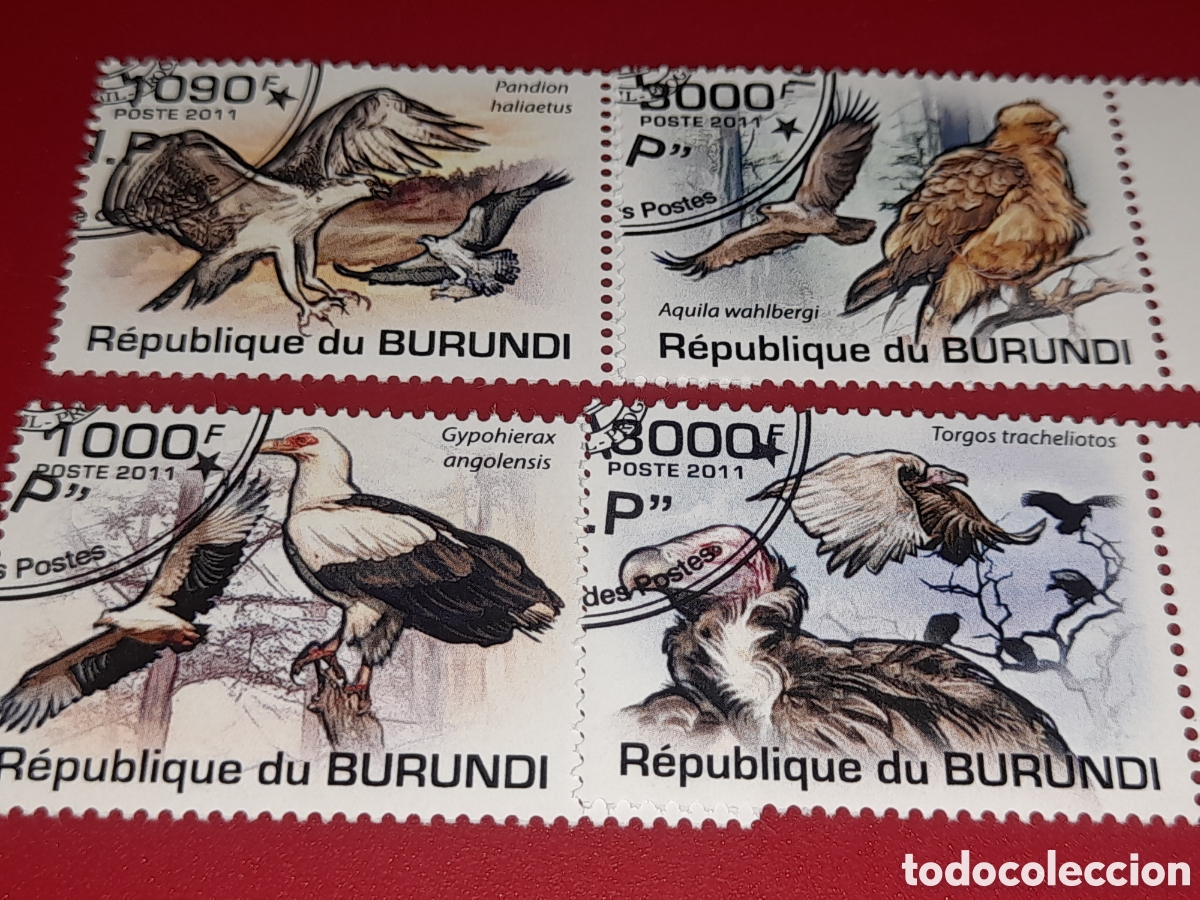 Sellos: Sello Burundi mtdo 2011. Aves. Pajaros. Fauna. Animales depredadores, salvajes. Buitre Halc&oacute;n Aguila