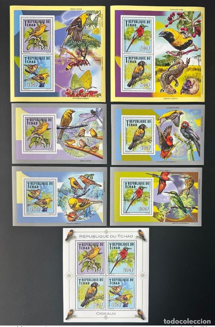 Sellos: Chad Tschad 2012 Mi. 2563 - 2566 Bl. 449 452 Birds V&ouml;gel (I)