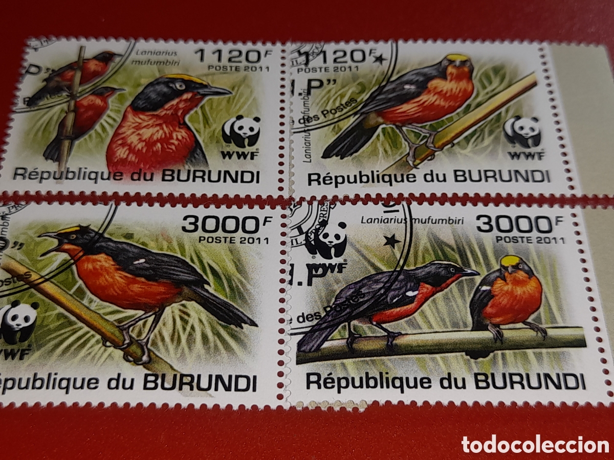 Sellos: Sello Burundi mtdo 2011. WWF. Fondo Protecci&oacute;n naturaleza. Aves. P&aacute;jaros. Fauna. Bubu. Tropical.