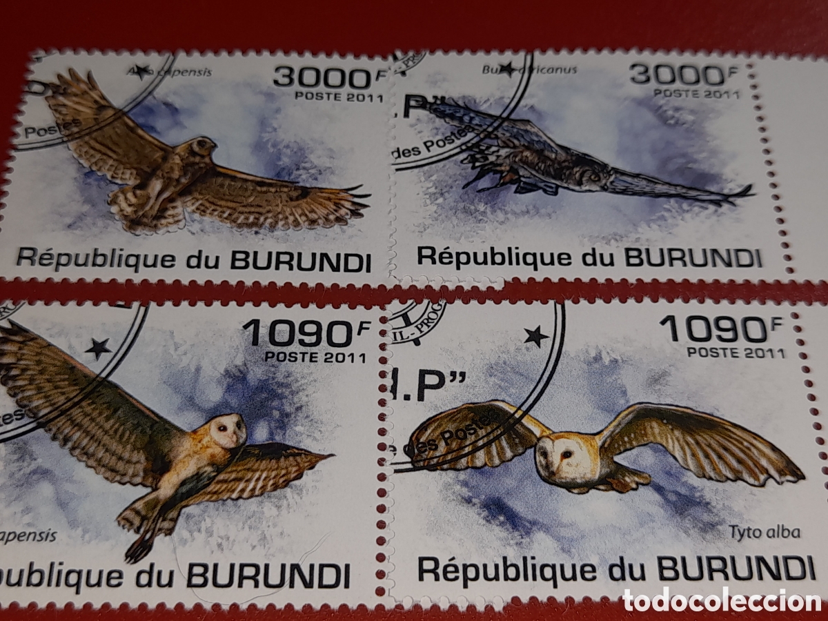 Sellos: Sello Burundi mtdo 2011. Fauna. Aves. Pajaros. B&uacute;ho. Lechuza. Mochuelo. Naturaleza. Depredador. Car