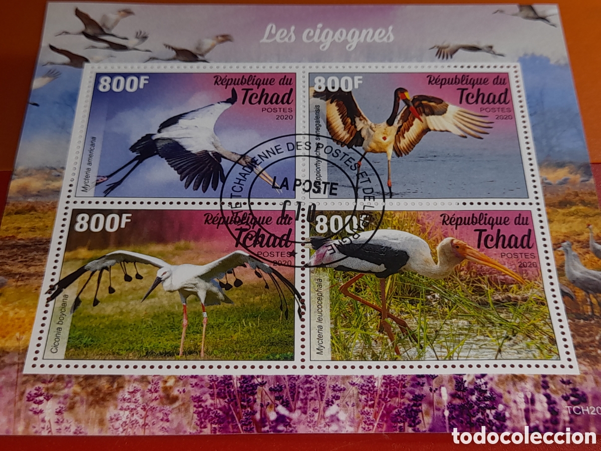 Sellos: HB Chad mtdo 2020. Cig&uuml;e&ntilde;as. Aves. P&aacute;jaros. Fauna. Animales salvajes. Naturaleza.