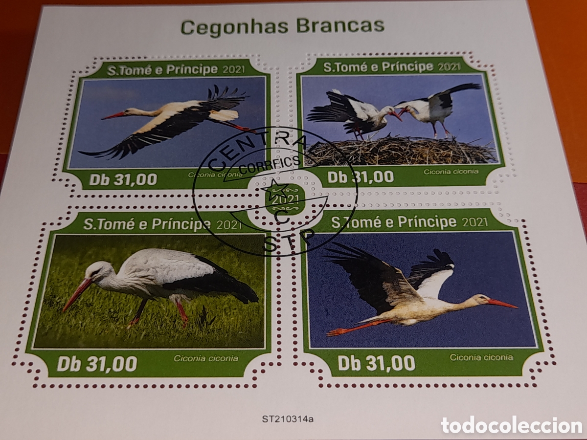 Sellos: HB Tome Pr&iacute;ncipe mtdo 2021. Cig&uuml;e&ntilde;as. Aves. P&aacute;jaros. Fauna. Animales salvajes. Naturaleza.