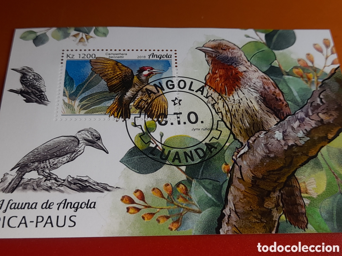 Sellos: HB Angola mtdo 2018. Aves. P&aacute;jaro carpintero. Fauna. Animales salvajes.