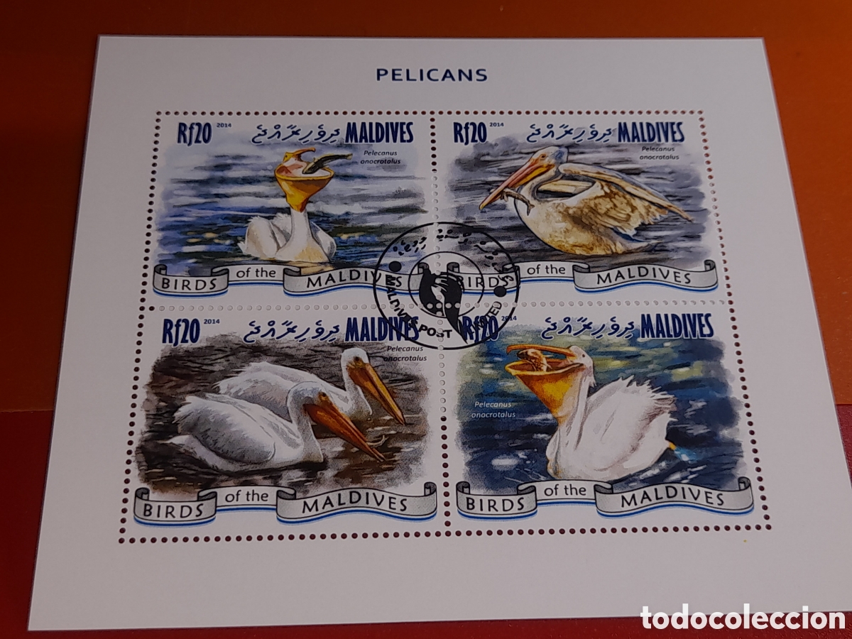 Sellos: HB Maldivas mtdo 2014. Pel&iacute;cano. Aves. P&aacute;jaros. Fauna. Naturaleza