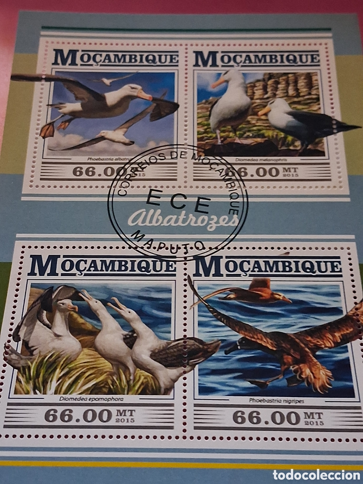 Sellos: HB Mozambique mtdo 2015. Albatros. Aves. P&aacute;jaros. Fauna. Gaviota.