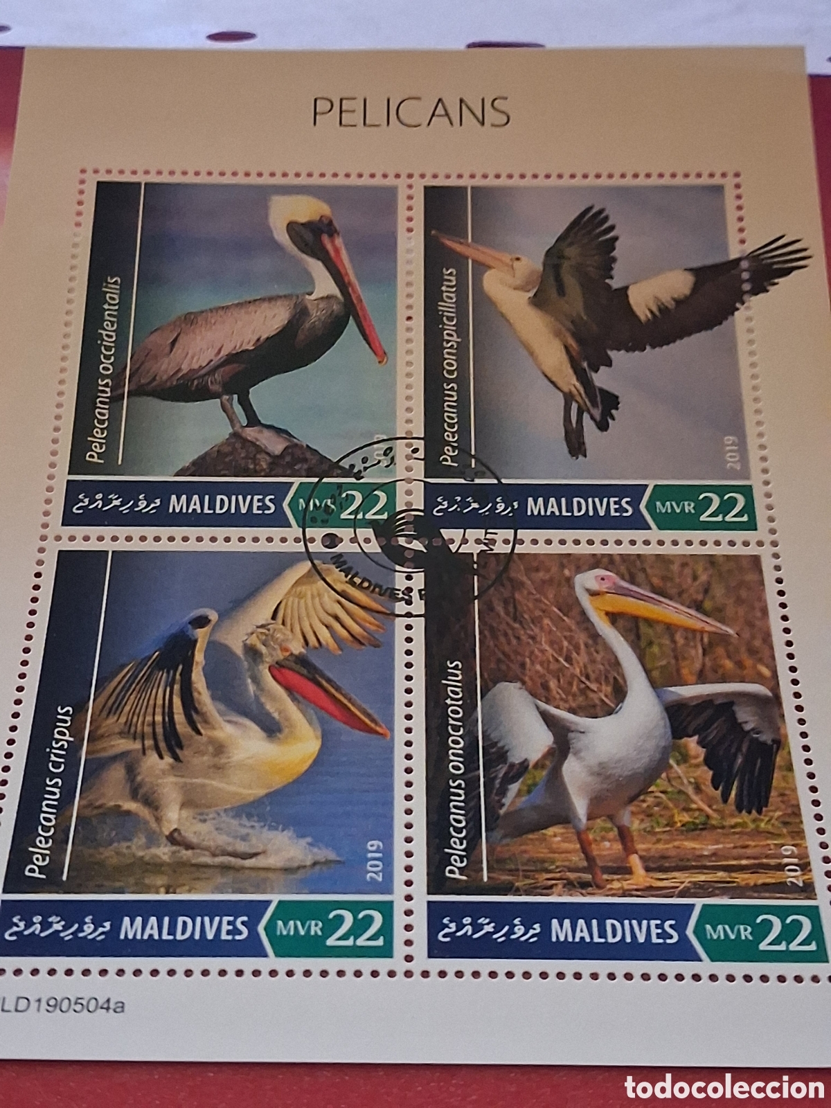 Sellos: HB Maldivas mtdo 2019. Pel&iacute;cano. Aves acu&aacute;ticas. P&aacute;jaros. Fauna. Animales salvajes. Naturaleza