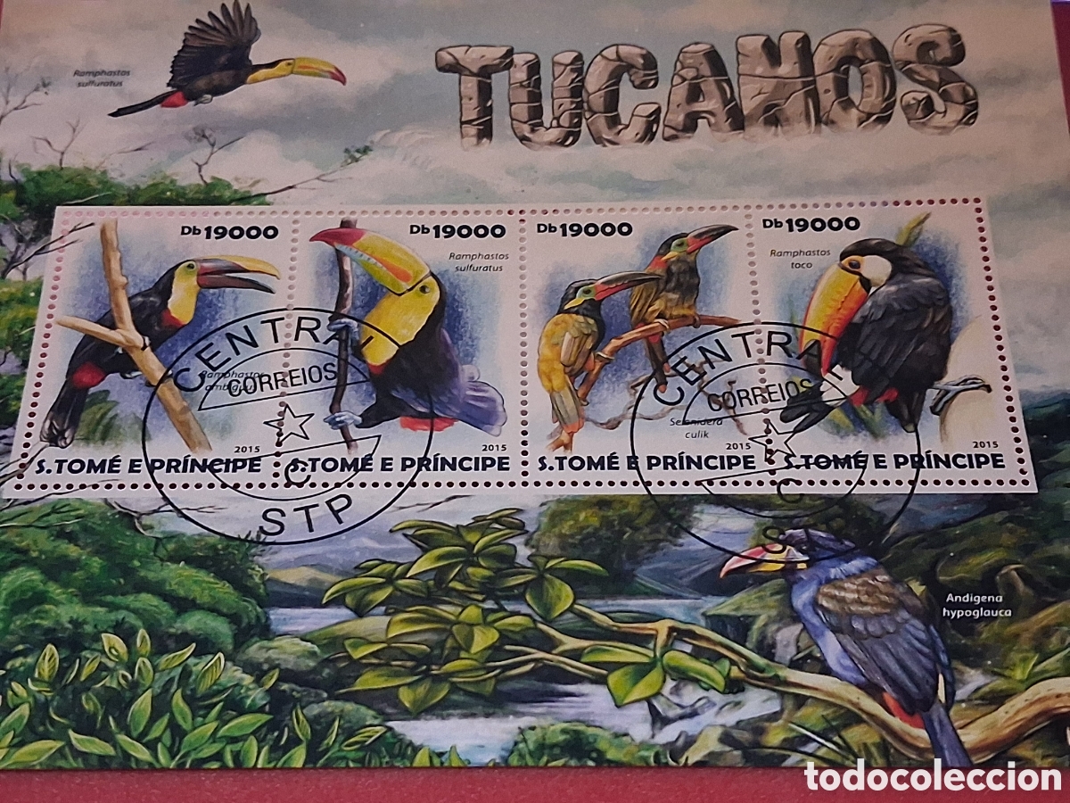 Sellos: HB Tome Pr&iacute;ncipe mtdo 2015. Pel&iacute;cano. Aves acu&aacute;ticas. P&aacute;jaros. Fauna. Animales salvajes. Naturaleza