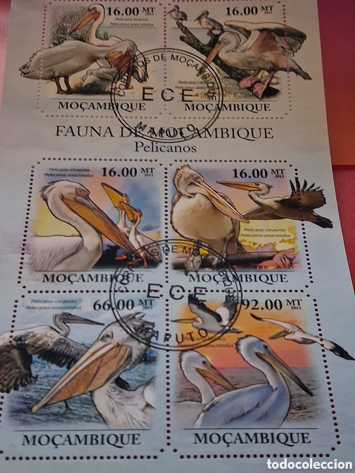 Sellos: HB Mozambique mtdo 2013. Pel&iacute;cano. Aves acu&aacute;ticas. P&aacute;jaros. Fauna. Animales salvajes. Naturaleza