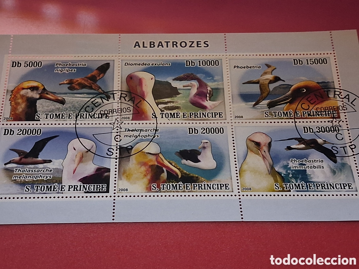 Sellos: HB Tome Pr&iacute;ncipe mtdo 2008. Albatros. Aves. P&aacute;jaros. Fauna. Gaviota.