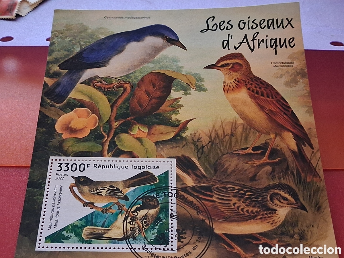 Sellos: HB Togo mtdo 2022. Aves de africa. P&aacute;jaros. Fauna. Animales salvajes. Bosque.