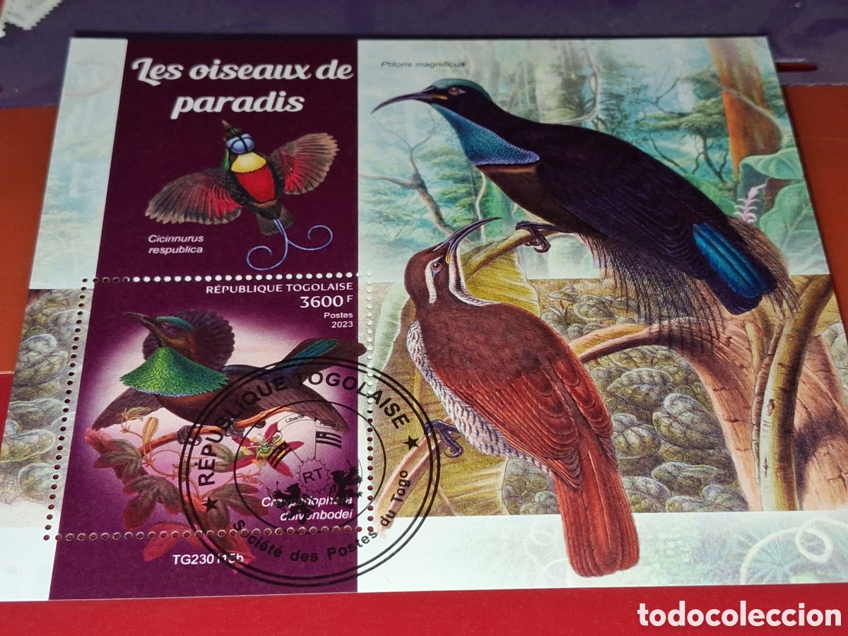 Sellos: HB Togo mtdo 2023. Aves del paraiso. P&aacute;jaros. Fauna. Naturaleza.